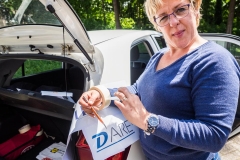 Auto beplakken euroline Anoes Groot