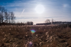 Het is lente!